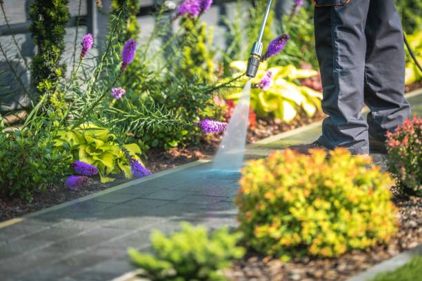 Best Building Exterior Washing  in Darien, WI